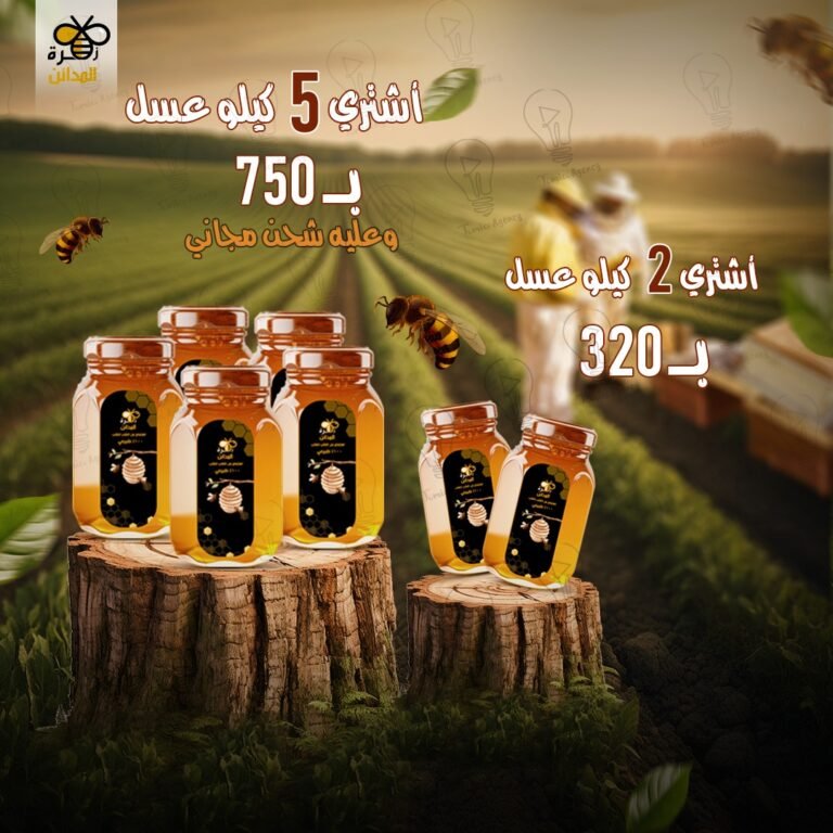 481222770_626477396983388_1516914855484808143_n